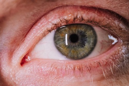 Free Macro shot showcasing the intricate details of a human eye with visible iris textures and eyelashes. Stock Photo