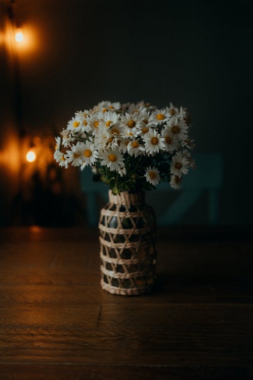 Chamomiles in Vase