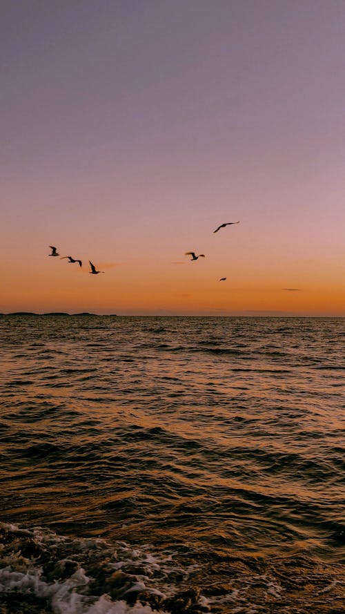 Free stock photo of adriatic sea, albania, beach sunset