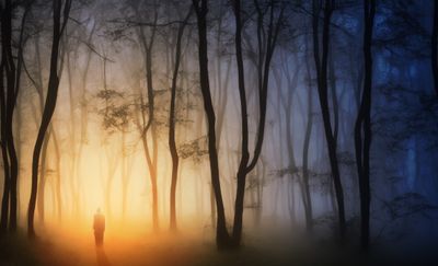 A solitary figure silhouetted in a misty forest at dusk — Johannes Plenio on Pexels