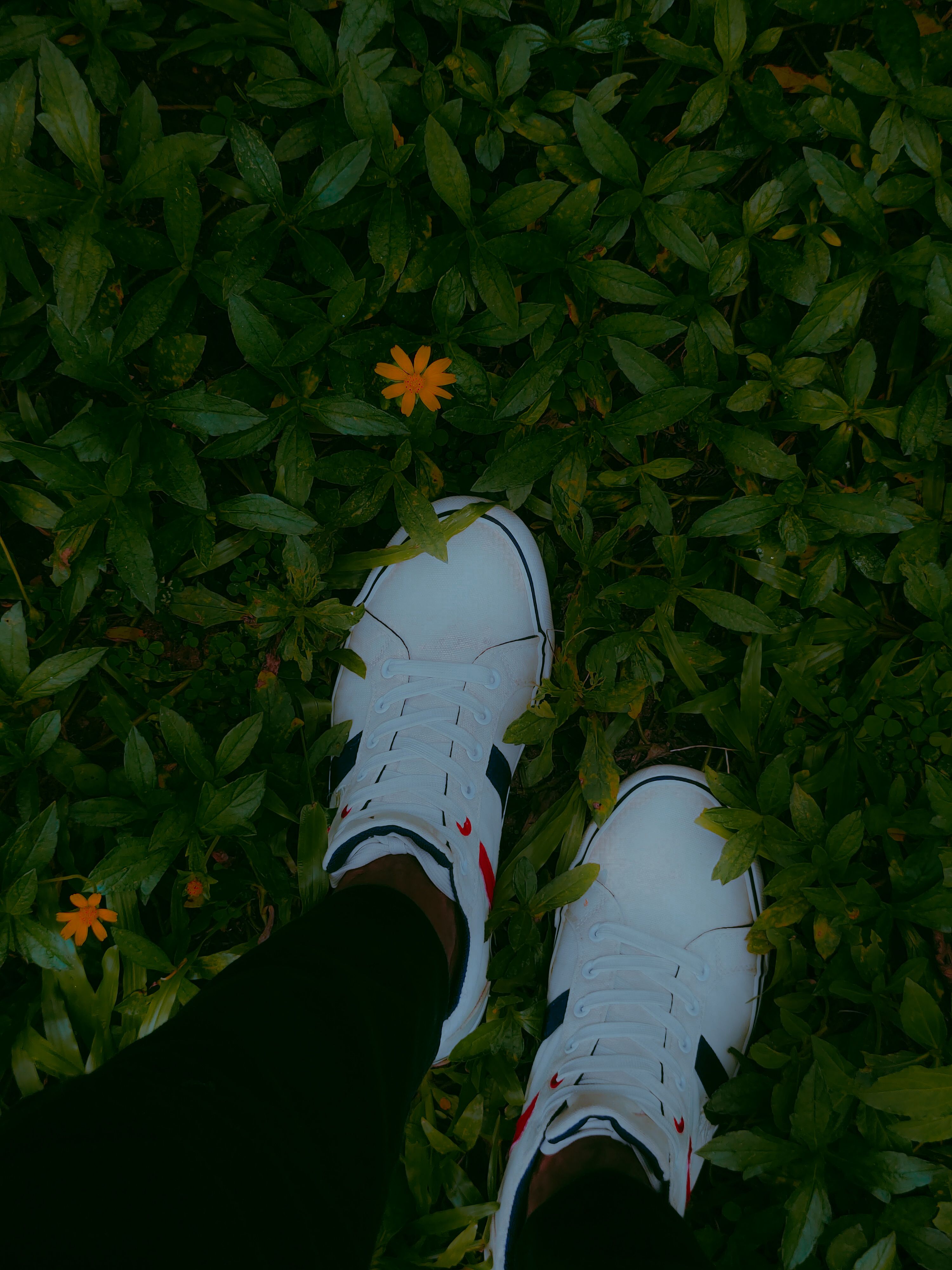 Tênis Slip On
