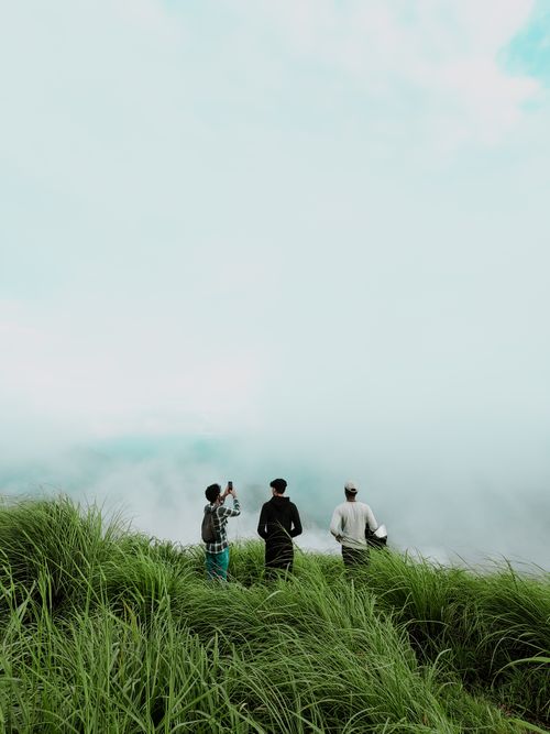 Free A group of hikers exploring a foggy mountain top surrounded by tall grass. Stock Photo
