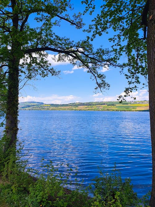 Immagine gratuita di acqua azzurra, lago, lakeshore