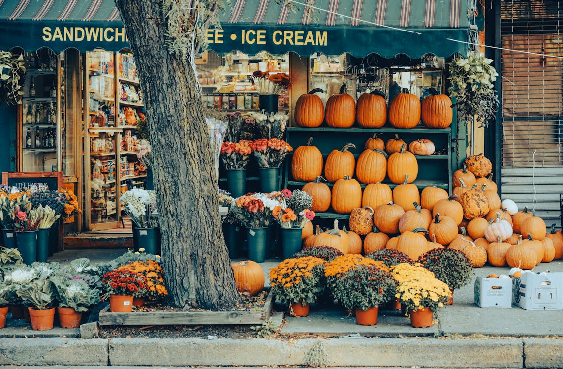 Free Halloween Pumpkins and Flowers Sale on the Street Stock Photo