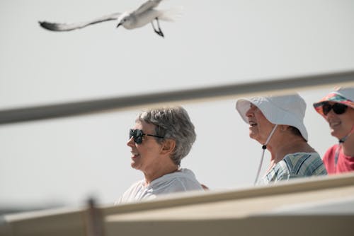 Ücretsiz deniz kenarı, KADIN, kuş içeren Ücretsiz stok fotoğraf Stok Fotoğraflar