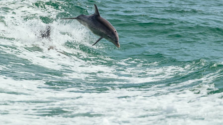 Fishing in Hong Kong: Saltwater Spots and Easy Access