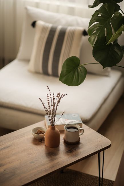 A cozy, minimalist living room with coffee, a plant, and decorative elements.
