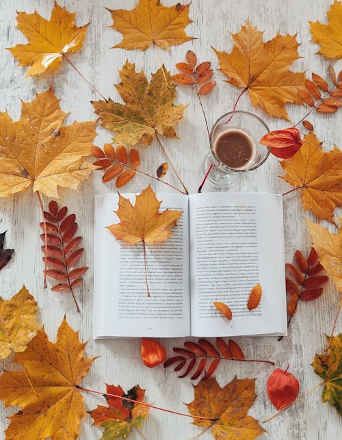 Photo of a Book and a Glass of Coffee Surrounded by Yellow Leaves