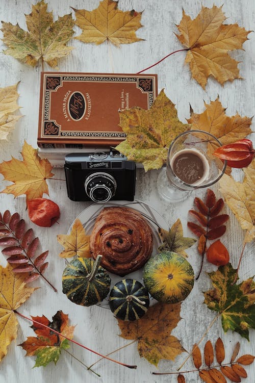 A Book and Camera in an Autumnal Composition 
