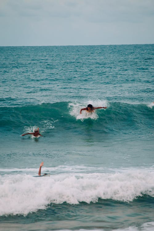 Foto d'estoc gratuïta de aigua, Esports aquàtics, fent surf