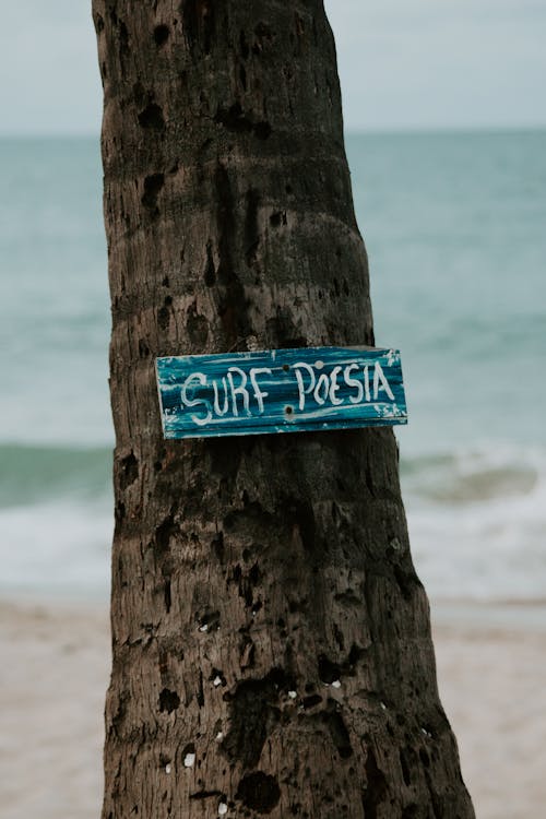 A Blue and White Signage Pinned at a Brown Tree