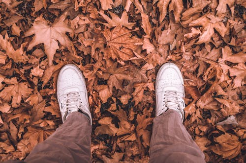 Bezpłatne Darmowe zdjęcie z galerii z brązowe liście, buty, jesień Zdjęcie z galerii