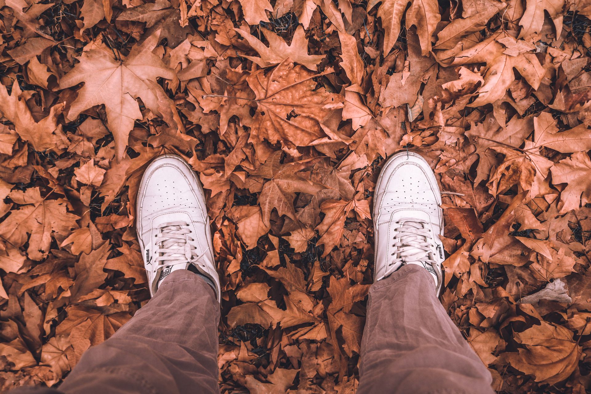 A first-person view of a man standing on a pile of dry autumn leaves wearing white sneakers and brown pants.