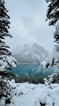 Snow-covered trees frame Lake Louise with majestic mountains in Alberta, Canada.