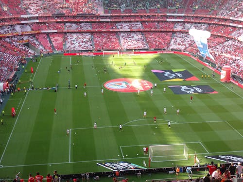 Stadium with Soccer Field