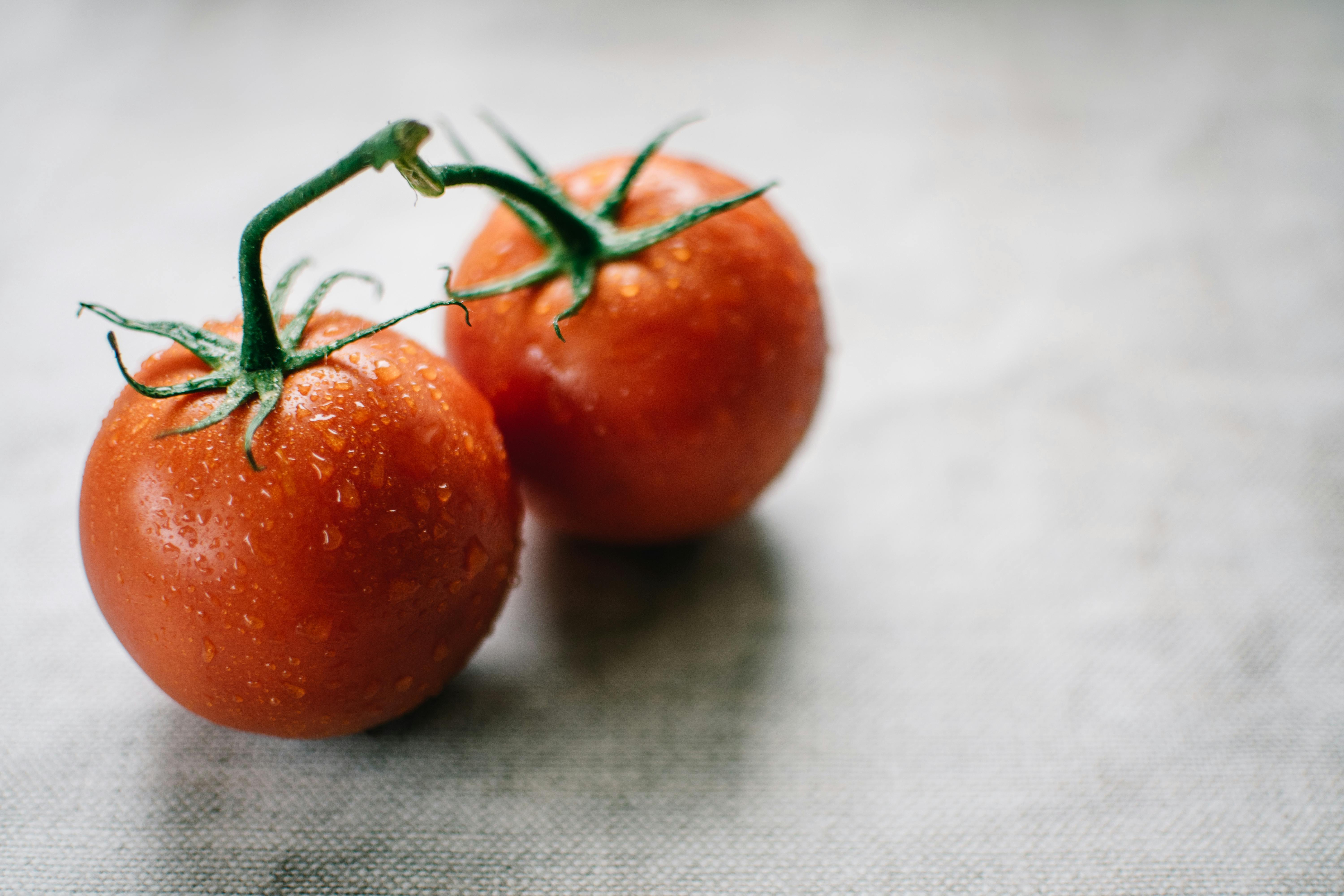 Zwei Tomaten · Kostenloses Stock Foto