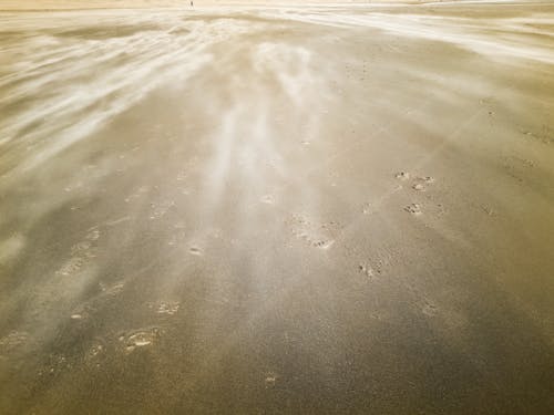 Δωρεάν στοκ φωτογραφιών με άμμος-παραλία, άνεμος φυσάει, βήματα