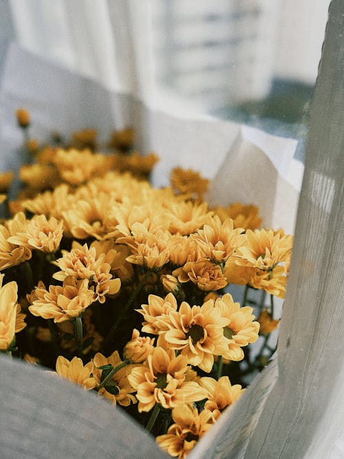 Foto profissional grátis de arranjo de flores, atraente, buquê