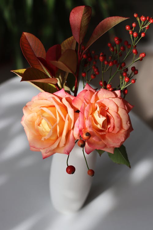 Blooming Orange Rose in a Flower Vase