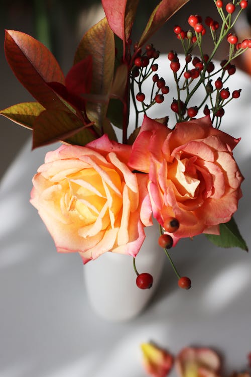 Roses on the White Ceramic Vase 