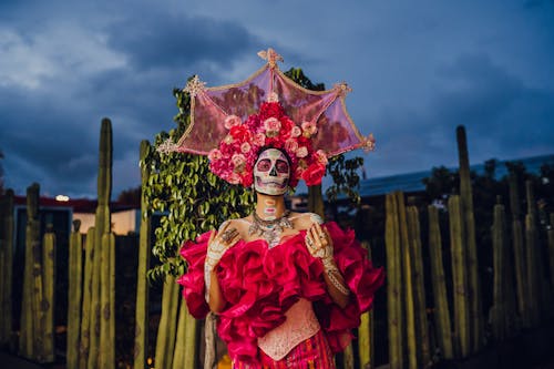 Základová fotografie zdarma na téma catrina, červené šaty, dia de muertos