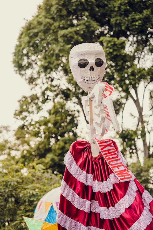 Foto profissional grátis de esqueleto, fantasia, festa