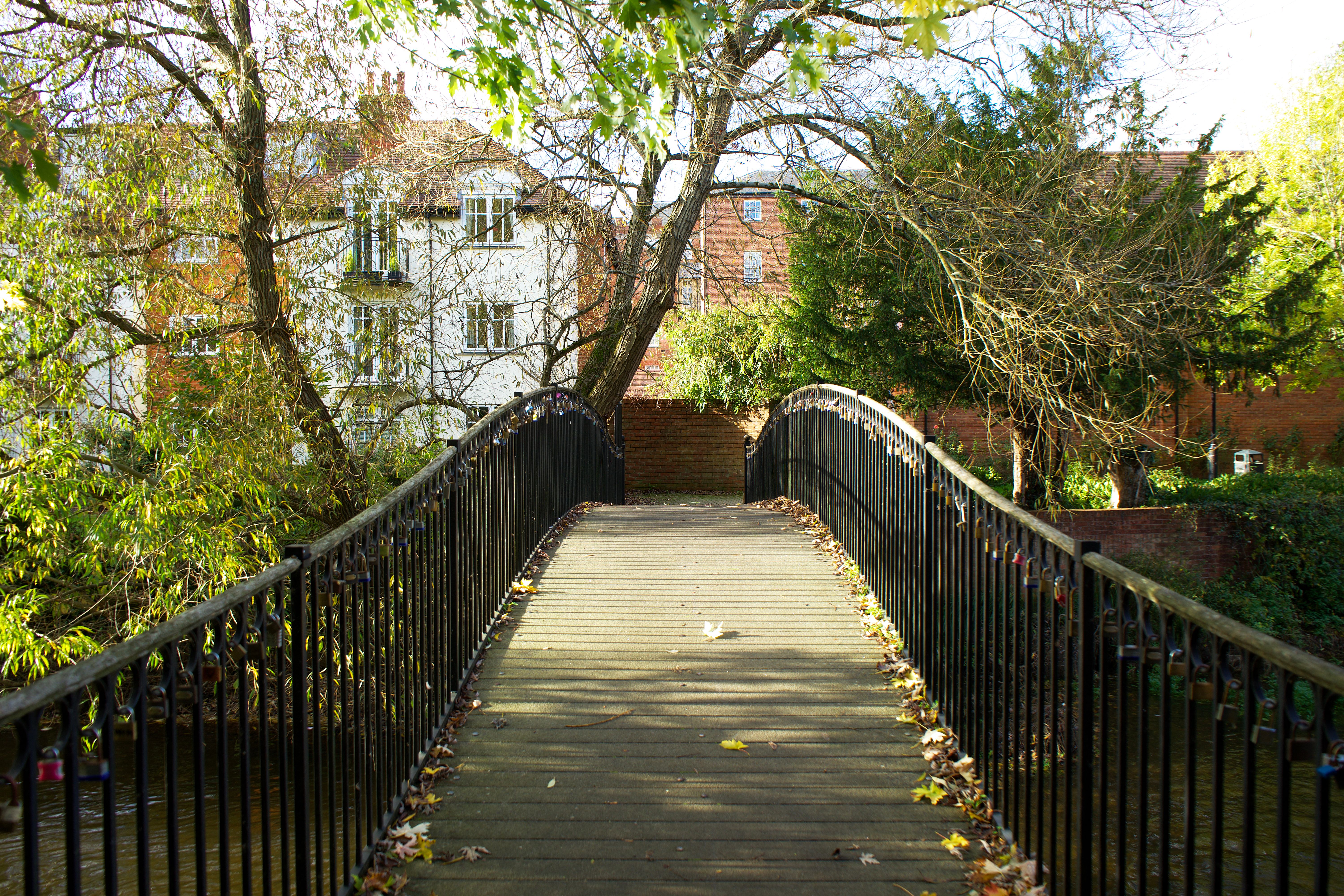Scenic view of a footbridge in a park in Salisbury, England during autumn.