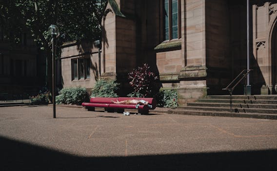 Immagine gratuita di a riposo, addormentato, alberi