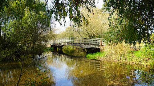 Footbridge Over a River in the Countryside