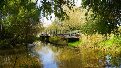 Free Peaceful landscape of a wooden bridge crossing a tranquil river in the lush countryside of Salisbury, England. Stock Photo
