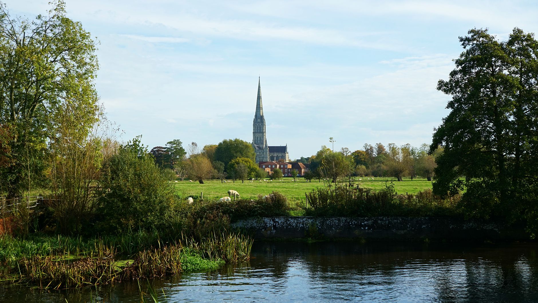 Salisbury Cathedral's iconic spire seen from a tranquil rural landscape in England.