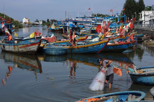 Free A fisherman casts his net in a colorful harbor filled with traditional boats in a serene river setting. Stock Photo