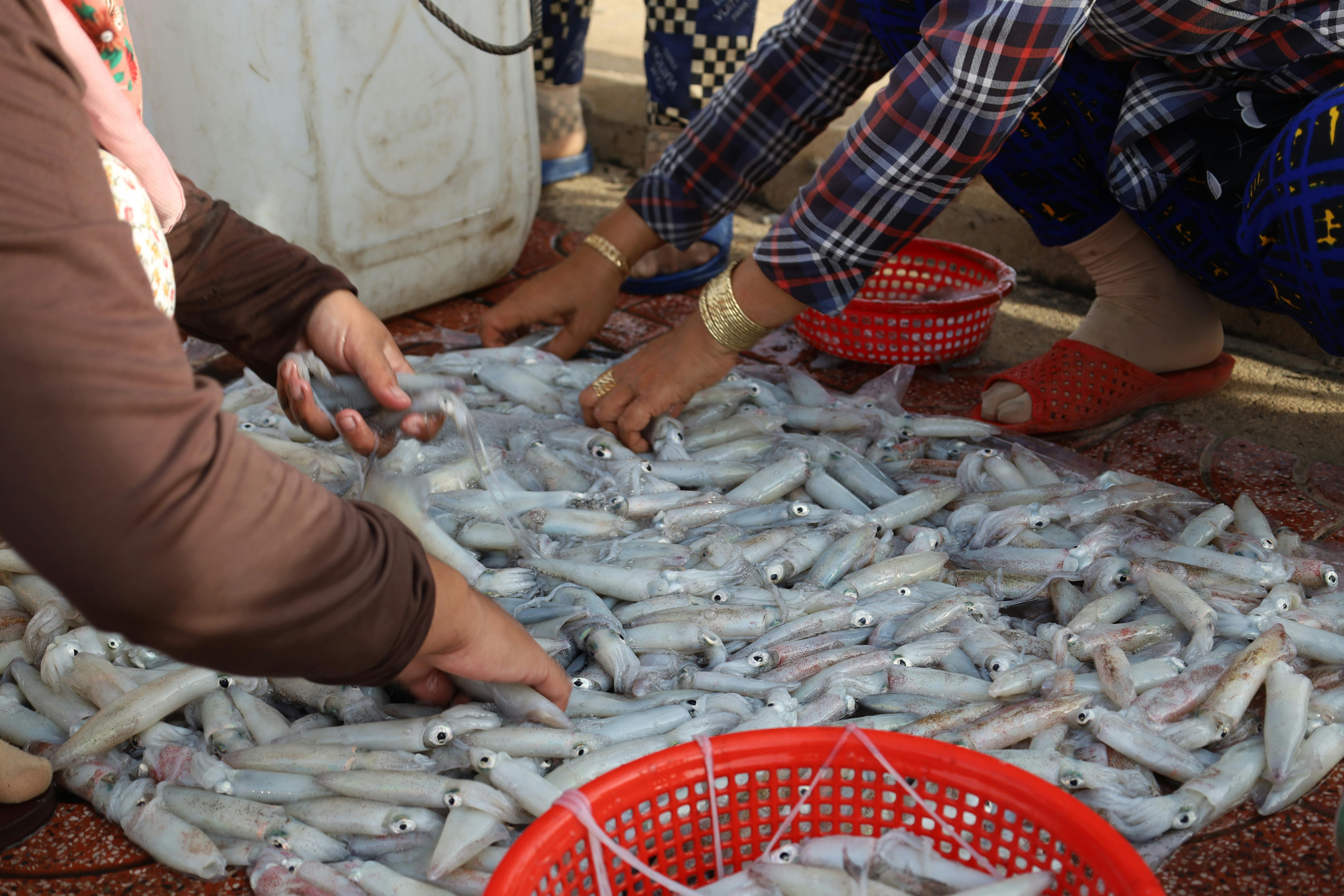 Does vinegar whiten plastic?