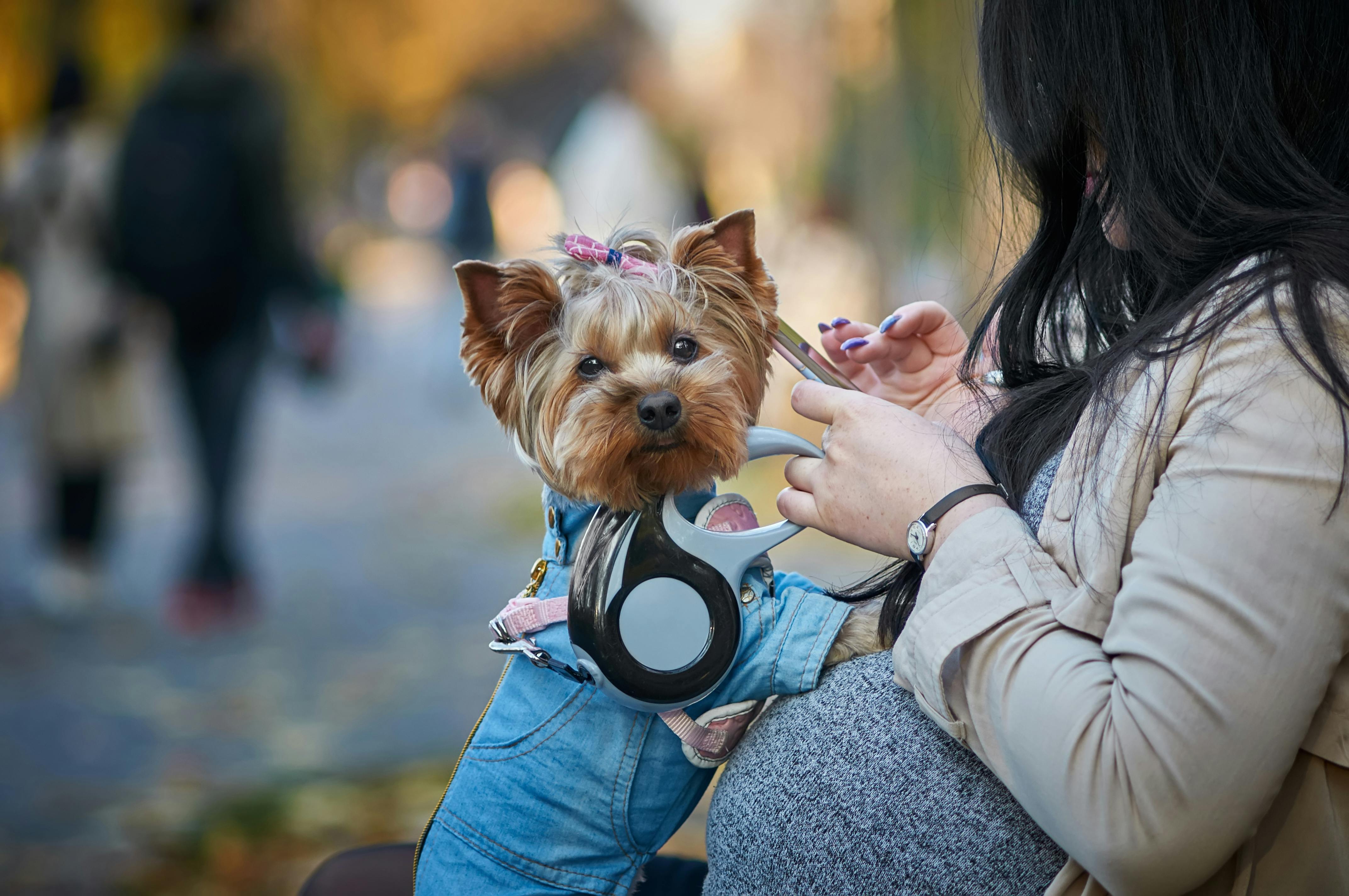 pet insurance veterinary expenses — Photo by igovar igovar on Pexels