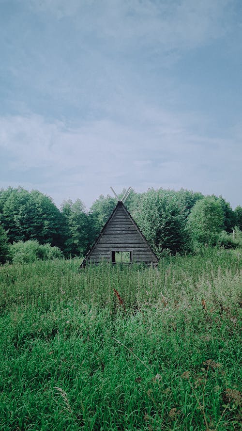 A Wooden House on Green Grass Field Near Green Trees