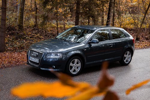 Fotobanka s bezplatnými fotkami na tému atmosfera de outono, Audi, audia3