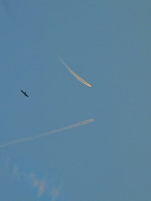 Darmowe zdjęcie z galerii z błękitne niebo, dym, latanie