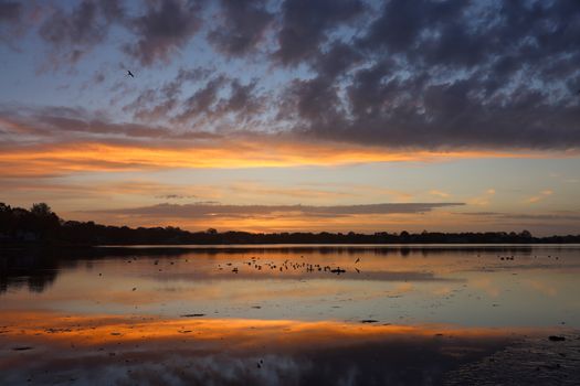 Serene sunrise over a calm lake with vibrant reflections and scattered birds in the sky.
