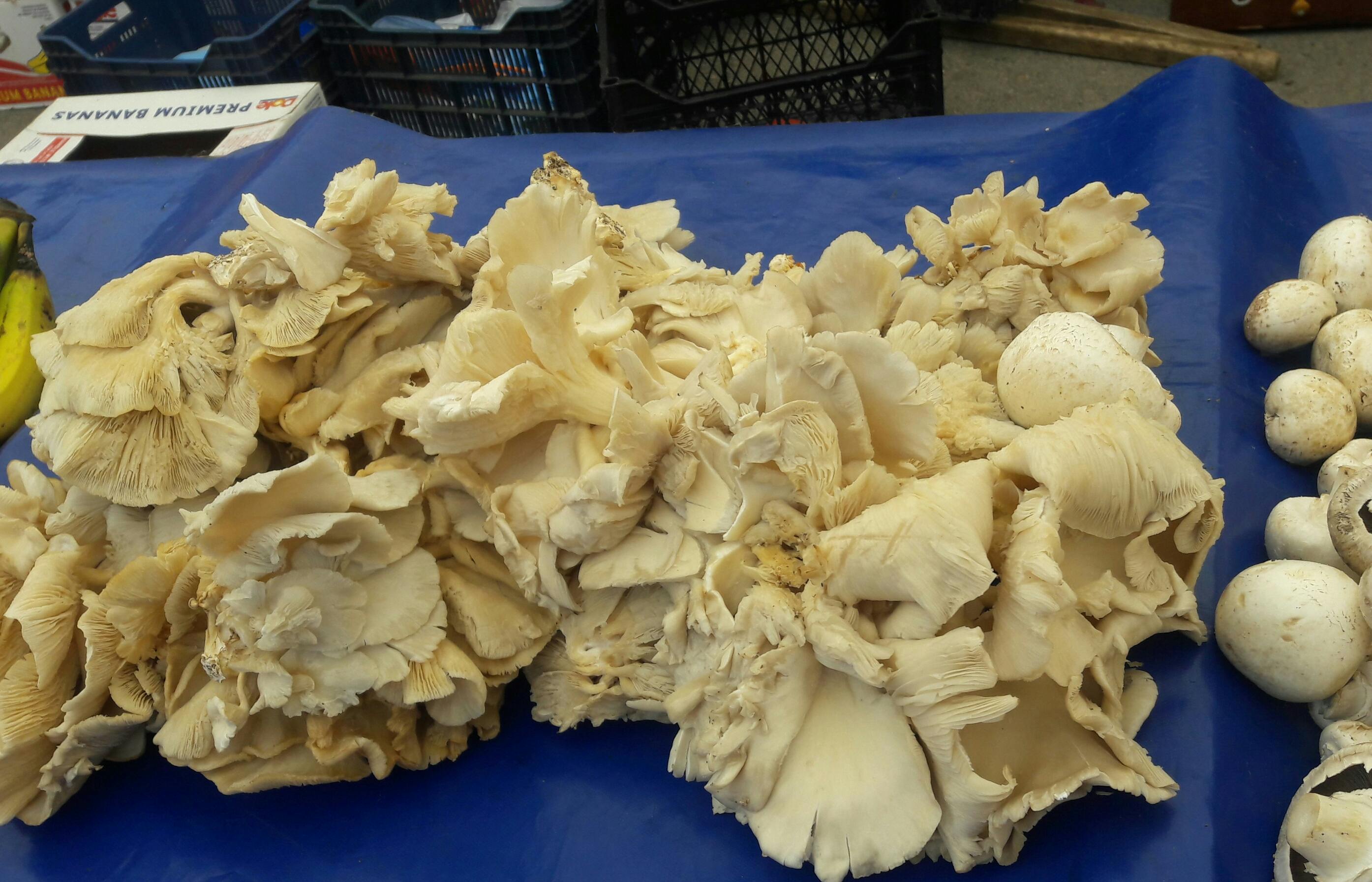 Free stock photo of dried, fruit