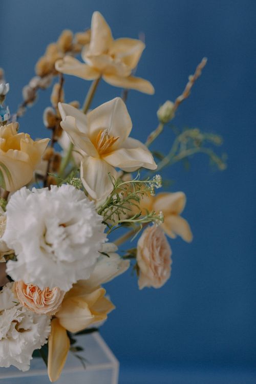 Free A delicate and elegant arrangement of mixed flowers against a blue backdrop showcasing natural beauty. Stock Photo