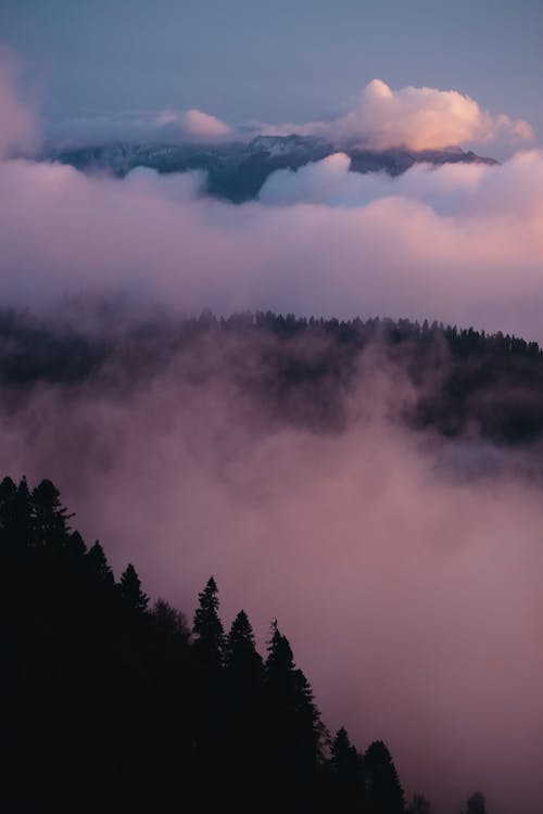 Forested Mountain Surrounded with Clouds