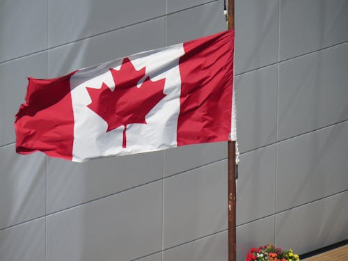 Close-up of a Waving Canadian Flag