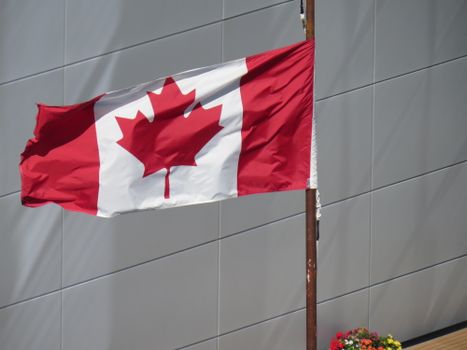 Close-up of the Canadian flag waving on a flag pole against a modern building.