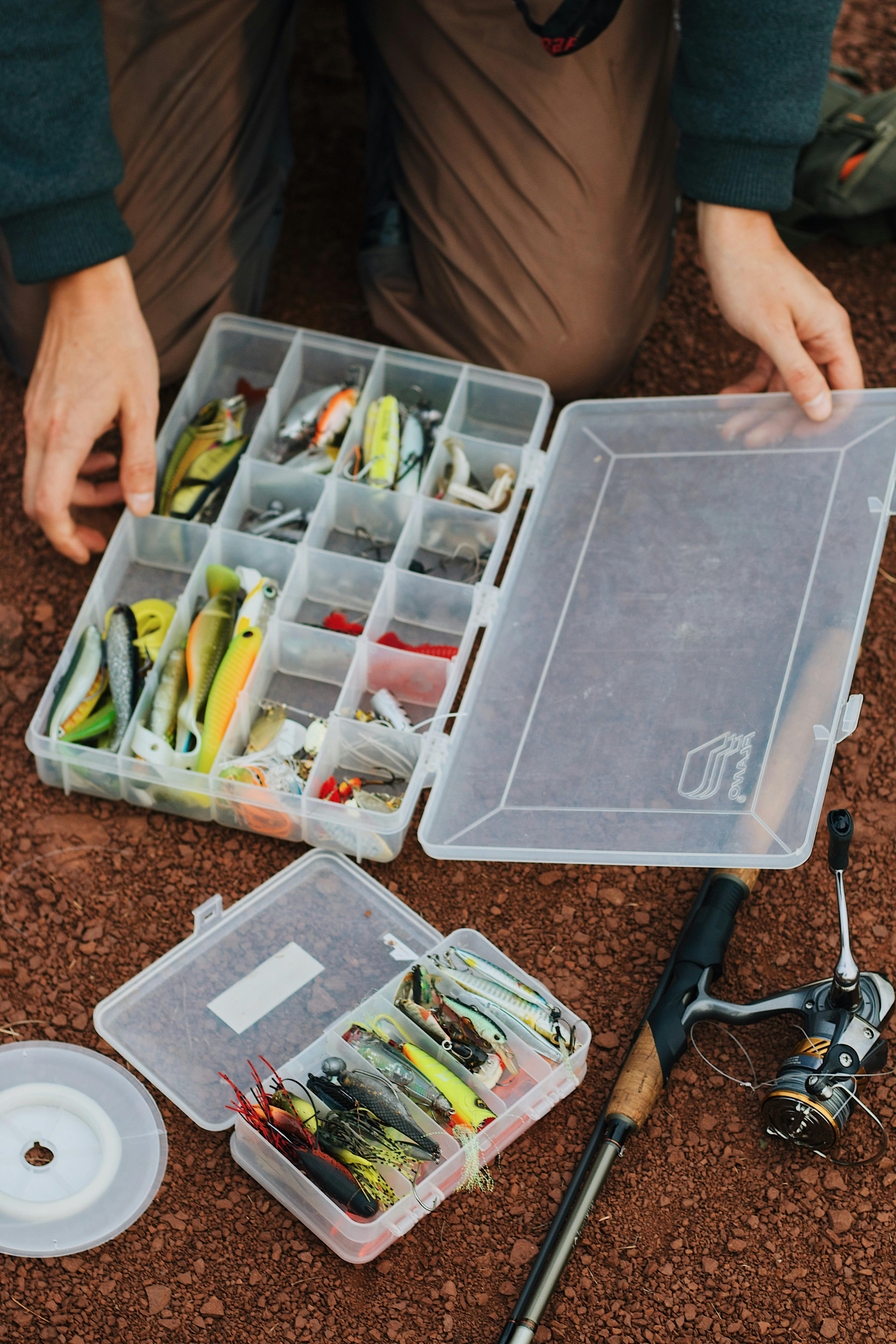 Person Holding Clear Plastic Container · Free Stock Photo