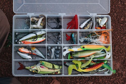 Green and Red Fish on White Metal Rack