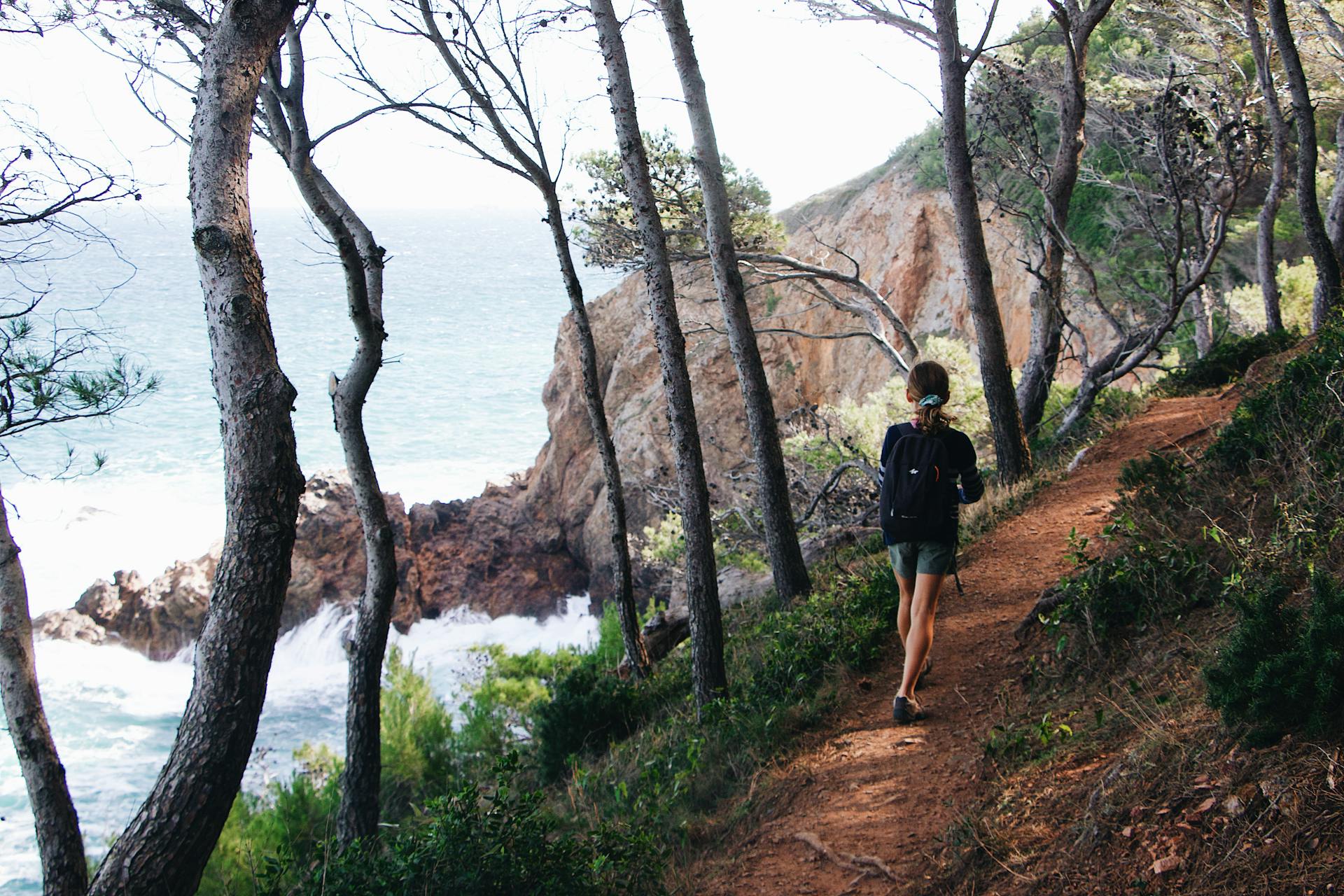 A person hikes a picturesque coastal trail surrounded by trees and ocean views.