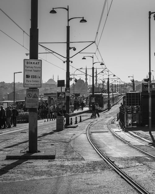 Immagine gratuita di bianco e nero, corno dorato, fermata del tram