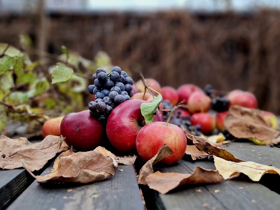 Is it healthy not to socialize?