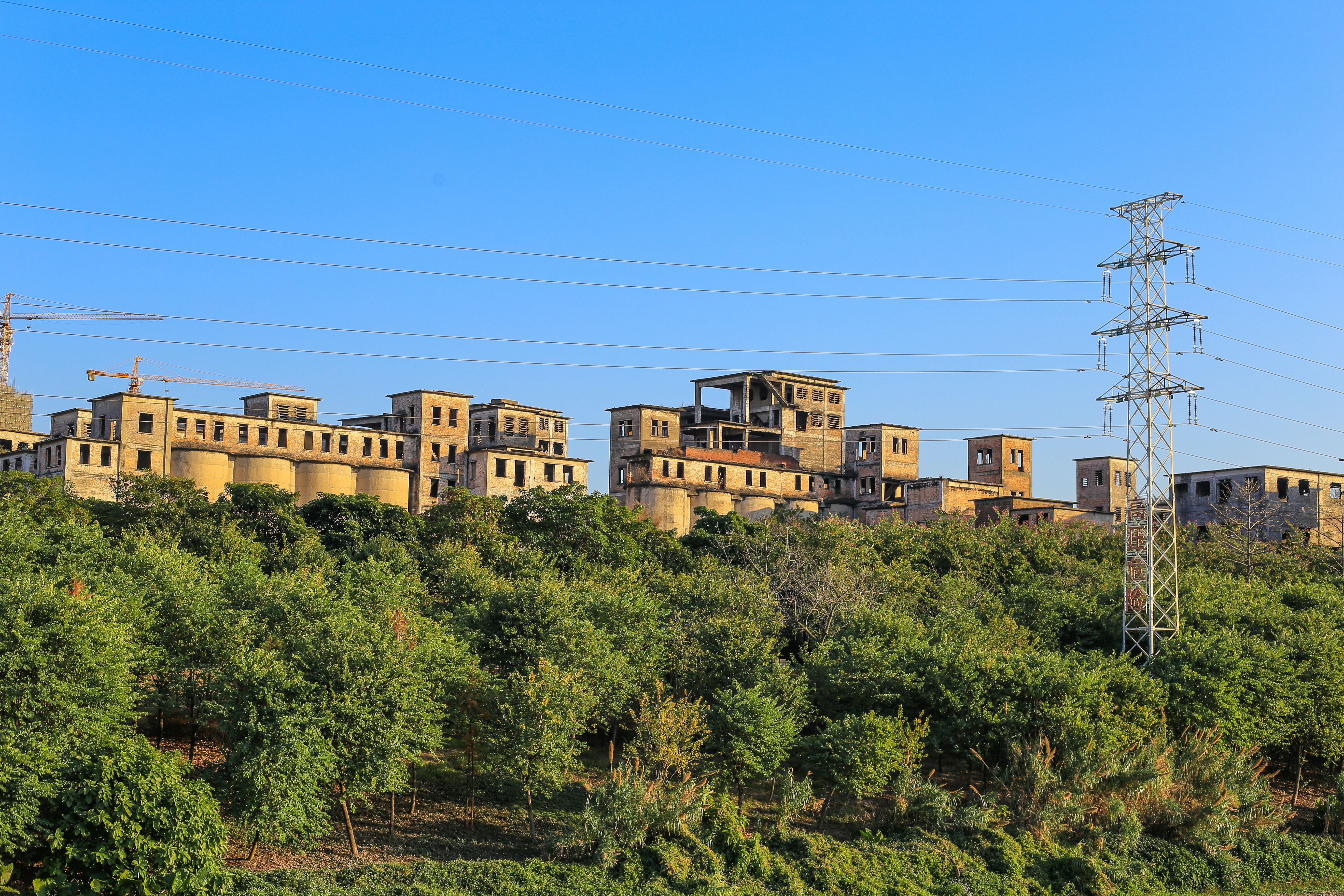 A row of abandoned industrial buildings surrounded by lush green vegetation under a clear blue sky.