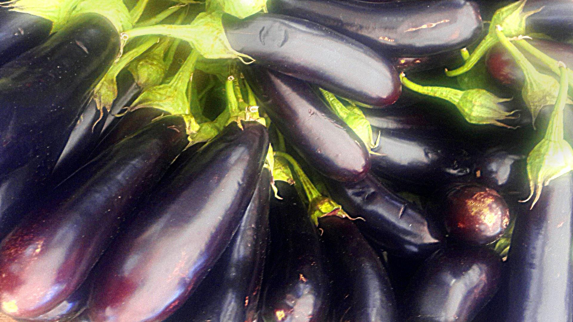 Free Stock Photo Of Eggplants